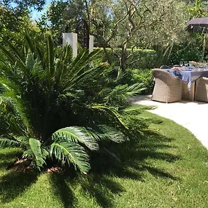 Riviera Cannes